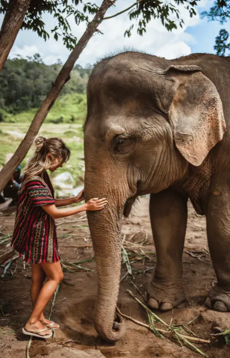 Bangkok-Thailand_pictures-3